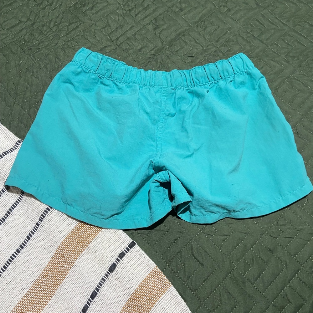 Patagonia teal nylon shorts